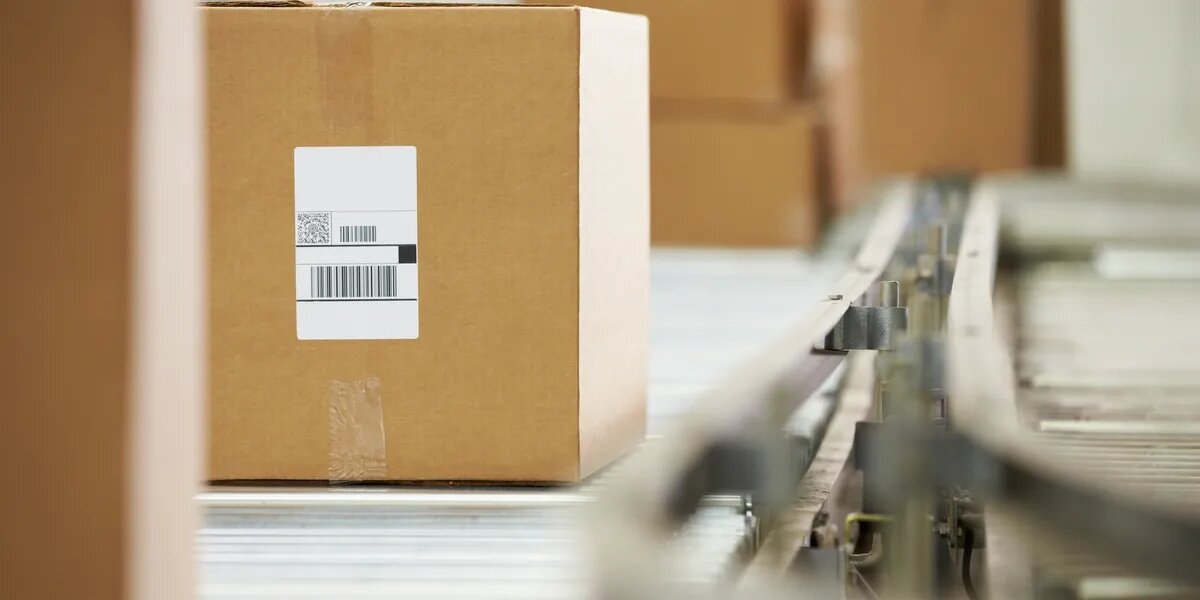 Ready-to-pack frozen ice gel packs for cold chain shipping — Ecko Ice Products